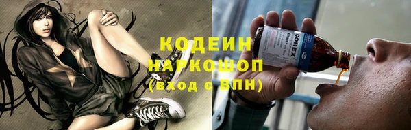 дживик Елабуга