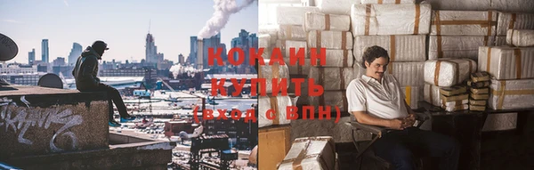 Альфа ПВП Ельня
