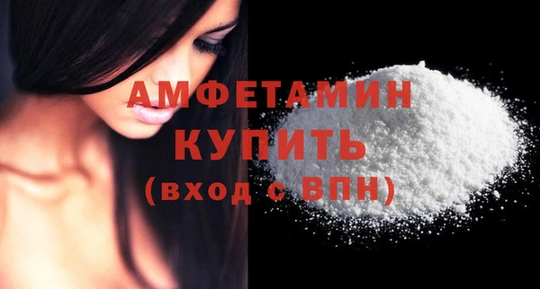 дживик Елабуга