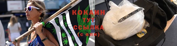Альфа ПВП Ельня