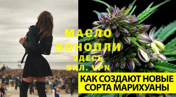 дживик Елабуга