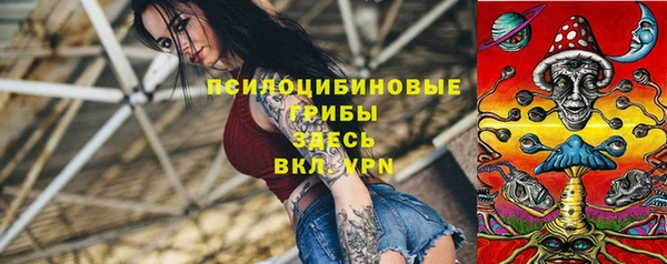 Альфа ПВП Ельня