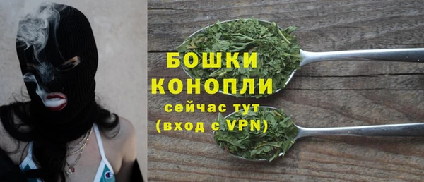дживик Елабуга