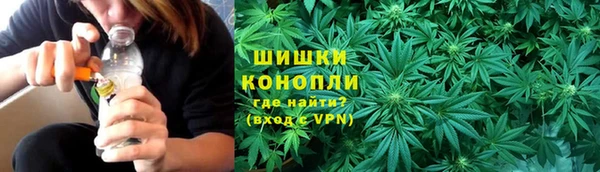 дживик Елабуга
